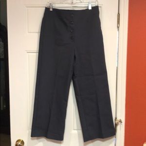 Brand New Loft Pants!